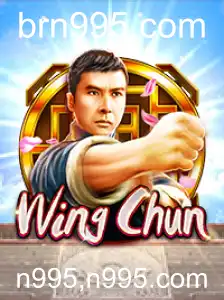Descobrindo o Universo de WingChun: Regras e Inovações do Jogo